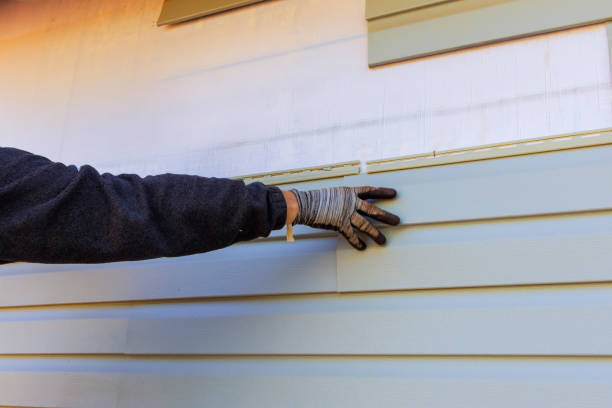 Best Siding Removal and Disposal  in Lukachukai, AZ